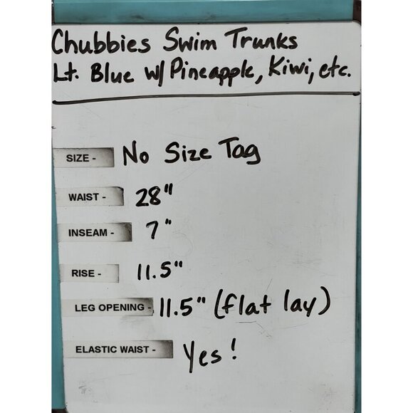 Chubbies Swim Trunks Lt. Blue Pineapple Kiwi Print Zipper Pocket No Size Tag - Picture 6 of 6